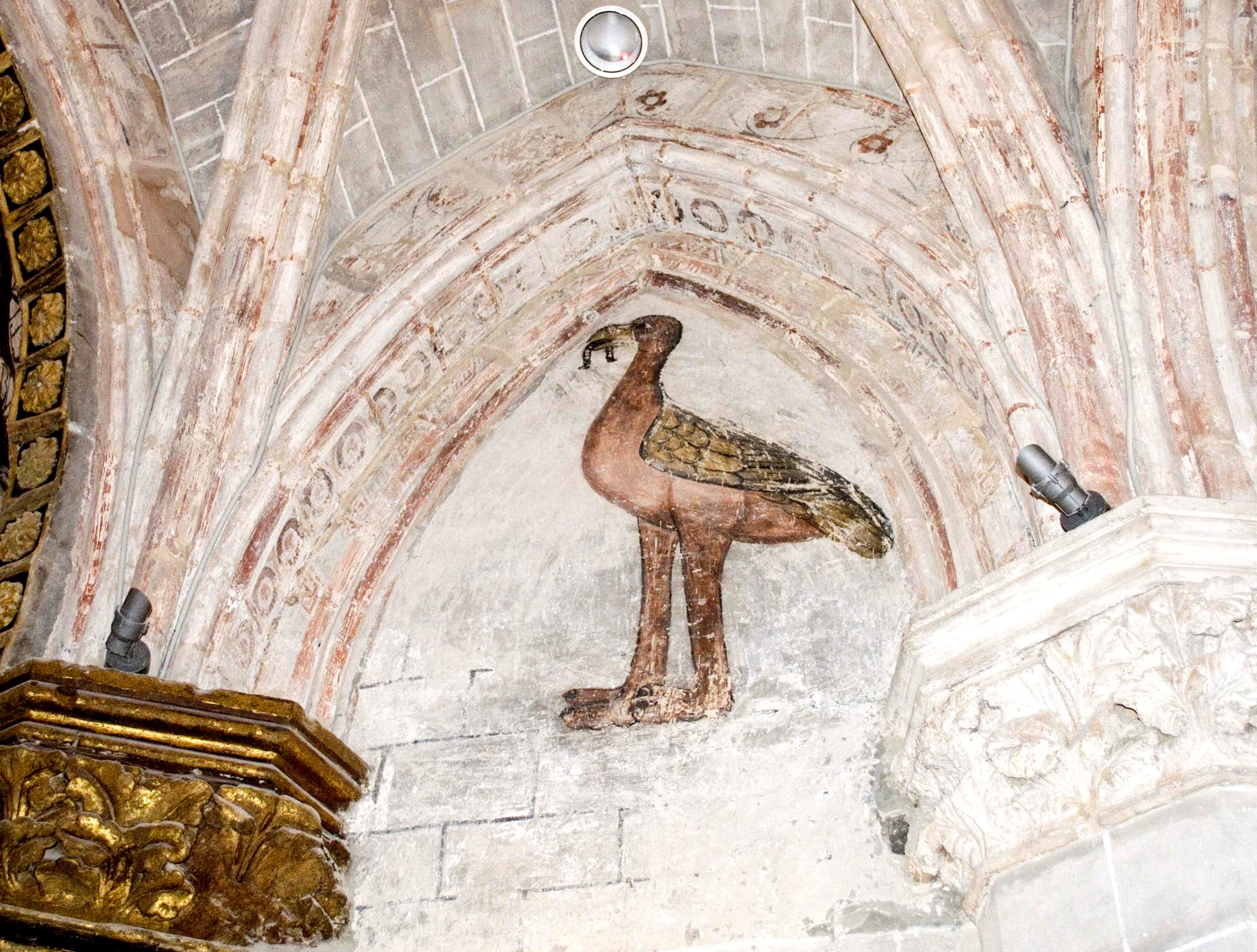 Avestruz. Catedral de Tarazona. Fundación Tarazona Monumental.