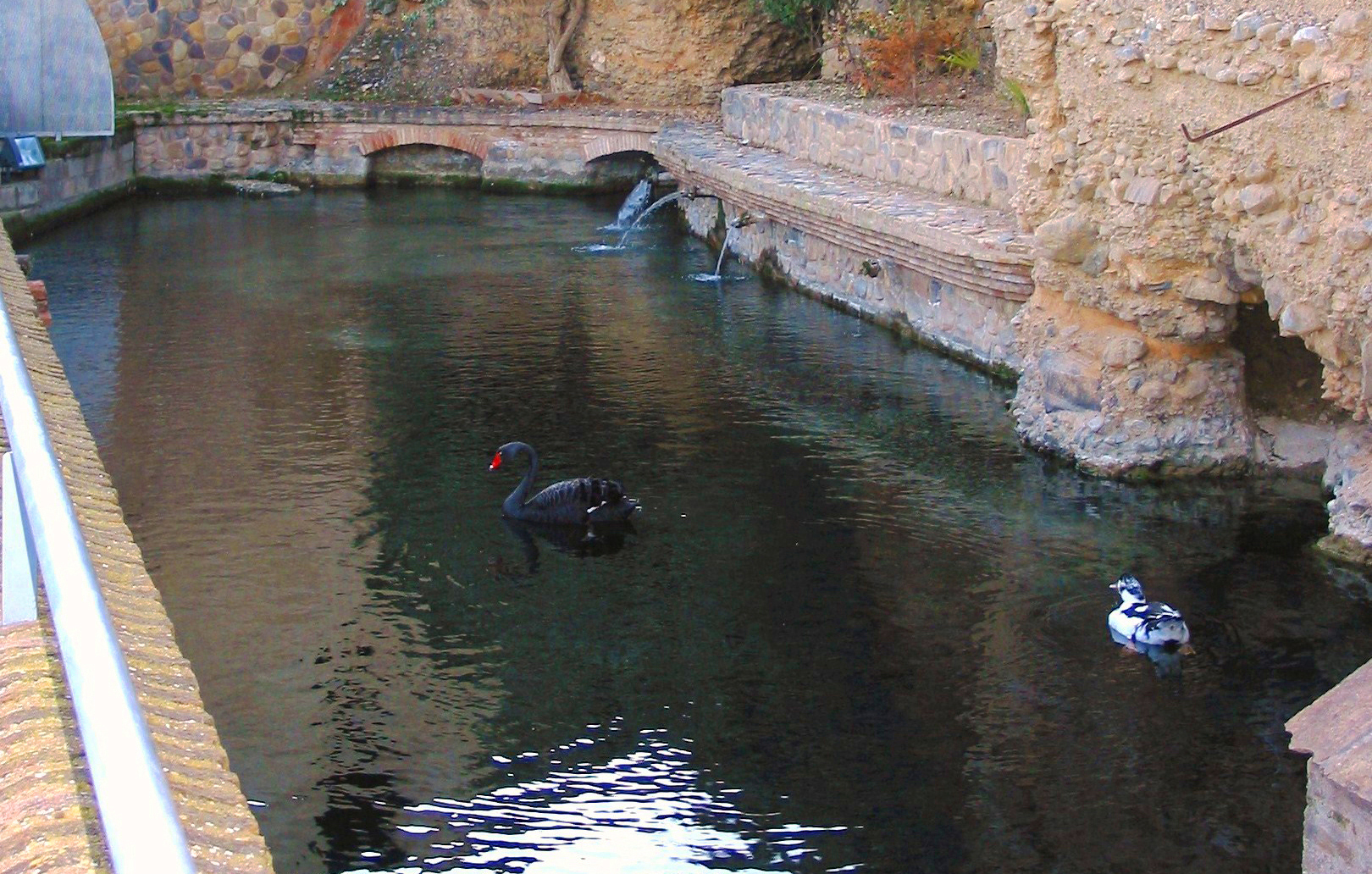 Nacedero de San Juan
